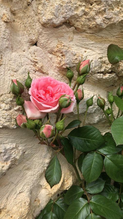 Fsp Chateau Julie Virsac المظهر الخارجي الصورة